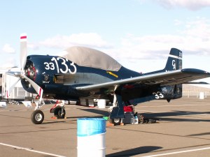 Sleepy Time for T-28B Race #133 The Bear