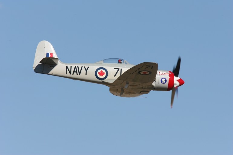Race 71 Sawbones, Hawker Sea Fury