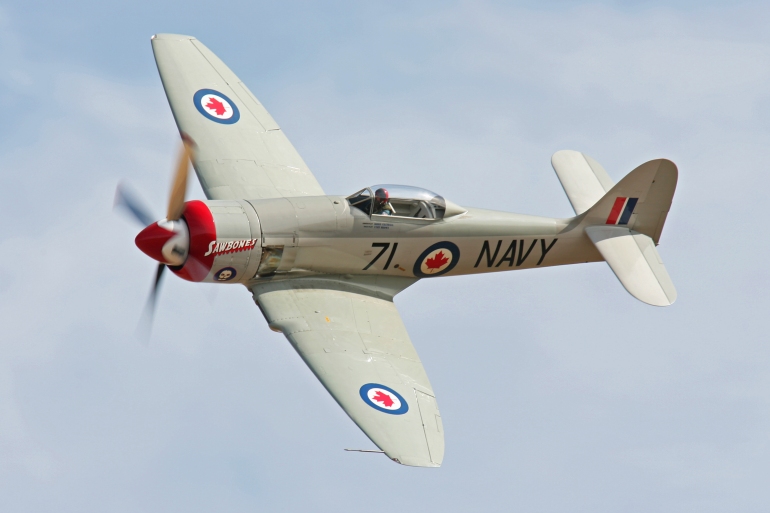 Race 71 Sawbones, Hawker Sea Fury, Dan Vance, Pilot